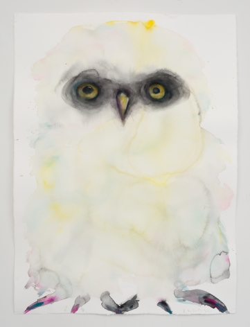 Kim McCarty, Untitled (White Owl), 2021