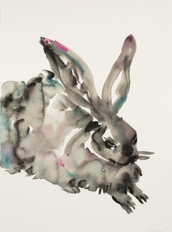 Kim McCarty, Bunny, 2015
