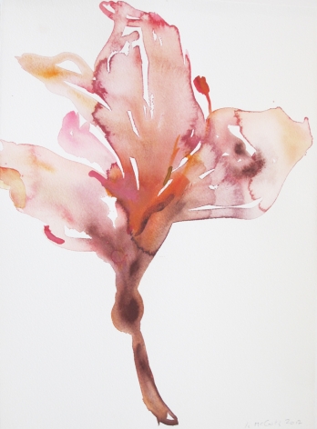 Kim McCarty, Untitled (Coral and Rose), 2012