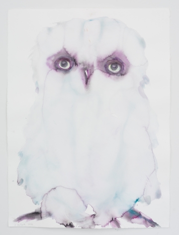 Kim McCarty, Untitled (Pale Owl), 2021